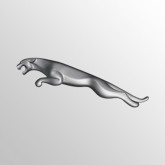 Image for JAGUAR SILVER