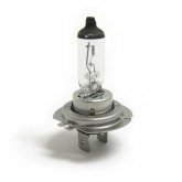 Image for 12V Bulbs