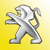 Image for PEUGEOT YELLOW