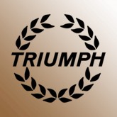 Image for TRIUMPH BROWN