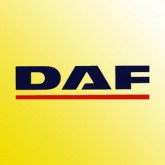 Image for DAF YELLOW