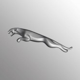 Image for JAGUAR GREY