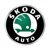 Image for SKODA WHITE