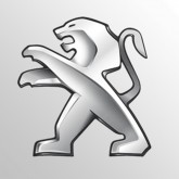 Image for PEUGEOT SILVER