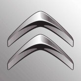 Image for CITROEN GREY