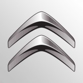 Image for CITROEN SILVER