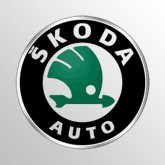 Image for SKODA SILVER