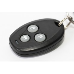 Category image for Car Alarm System