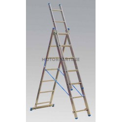 Category image for Extension Ladders