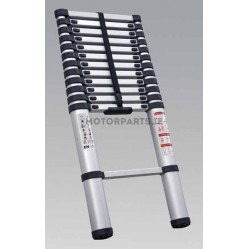 Category image for Telescopic Ladders