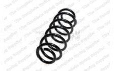 Image for Coil Spring