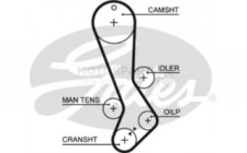 Image for Timing Belt
