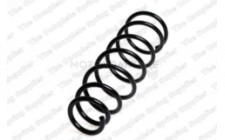 Image for Coil Spring