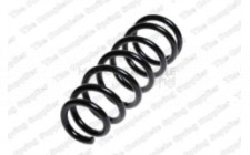 Image for Coil Spring