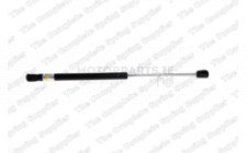 Image for Gas Spring