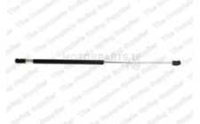 Image for Gas Spring