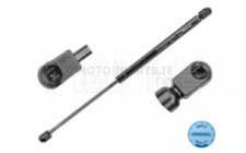 Image for Gas Spring