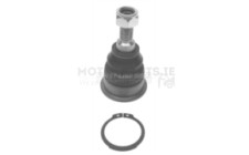 Image for Ball Joint
