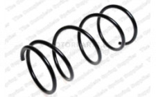 Image for Coil Spring
