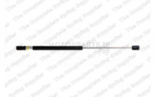 Image for Gas Spring