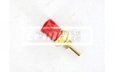 Image for Temperature Transmitter