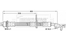 Image for Brake Hose