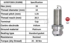 Image for Spark Plug