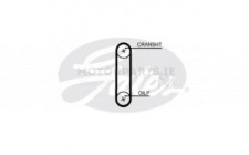 Image for Timing Belt