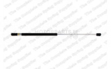 Image for Gas Spring