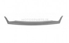Image for Grille Frame