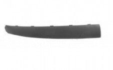 Image for Bumper Moulding
