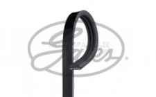 Image for Drive Belt