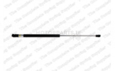 Image for Gas Spring