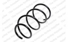 Image for Coil Spring