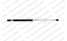 Image for Gas Spring