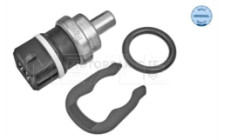 Image for Temperature Transmitter