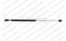 Image for Gas Spring