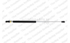 Image for Gas Spring