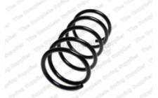 Image for Coil Spring
