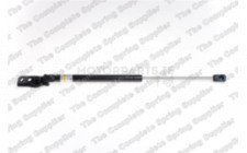 Image for Gas Spring