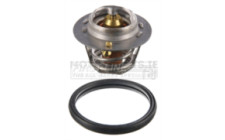 Image for Thermostat