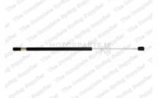 Image for Gas Spring
