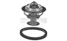 Image for Thermostat