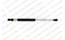 Image for Gas Spring