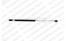 Image for Gas Spring