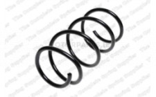 Image for Coil Spring