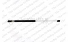 Image for Gas Spring