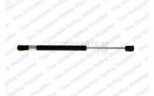 Image for Gas Spring