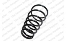 Image for Coil Spring