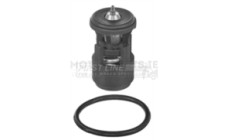 Image for Thermostat
